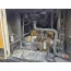 Compresor usado Atlas Copco XAHS 336